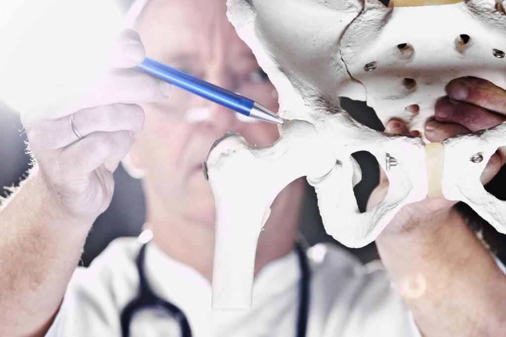 Scientist marking a hip fracture on skeleton