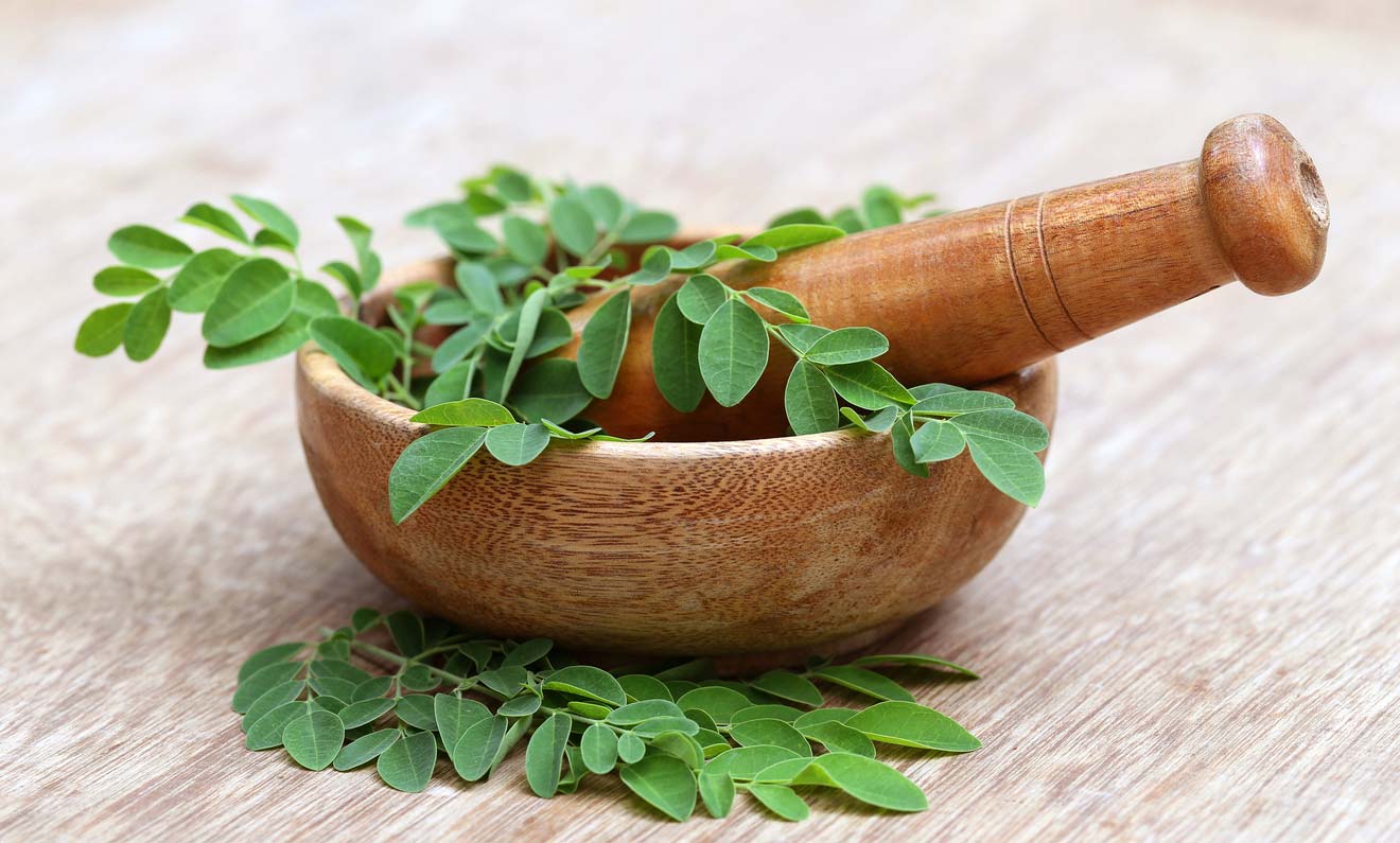 moringa leaves with mortar and pestle