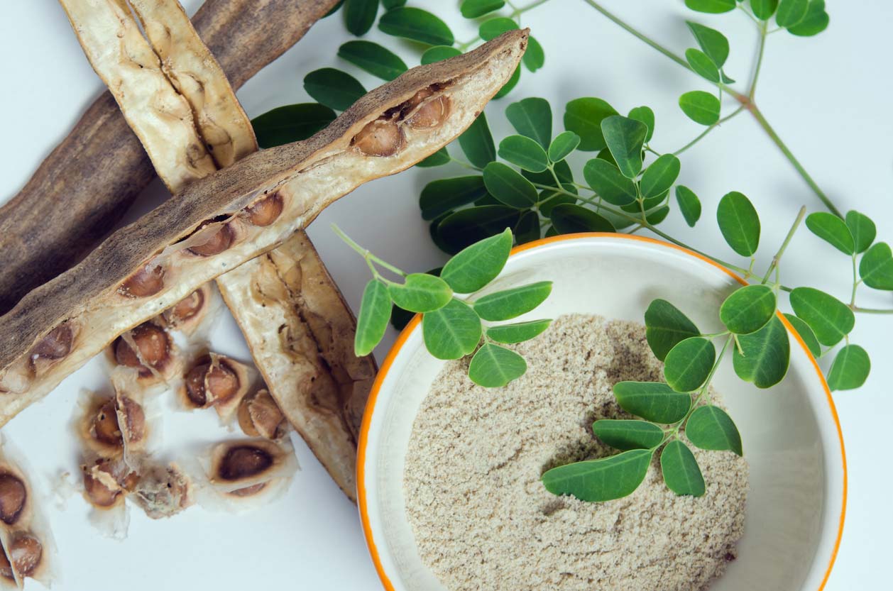 moringa leaves and seed pods on display with ground moringa in bowl