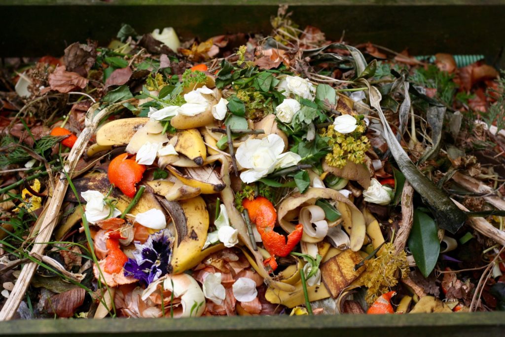 A pile of organic food waste