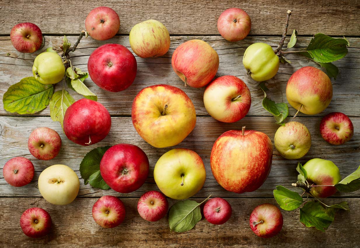 Raw Red Organic Gala Apples Stock Photo by bhofack2