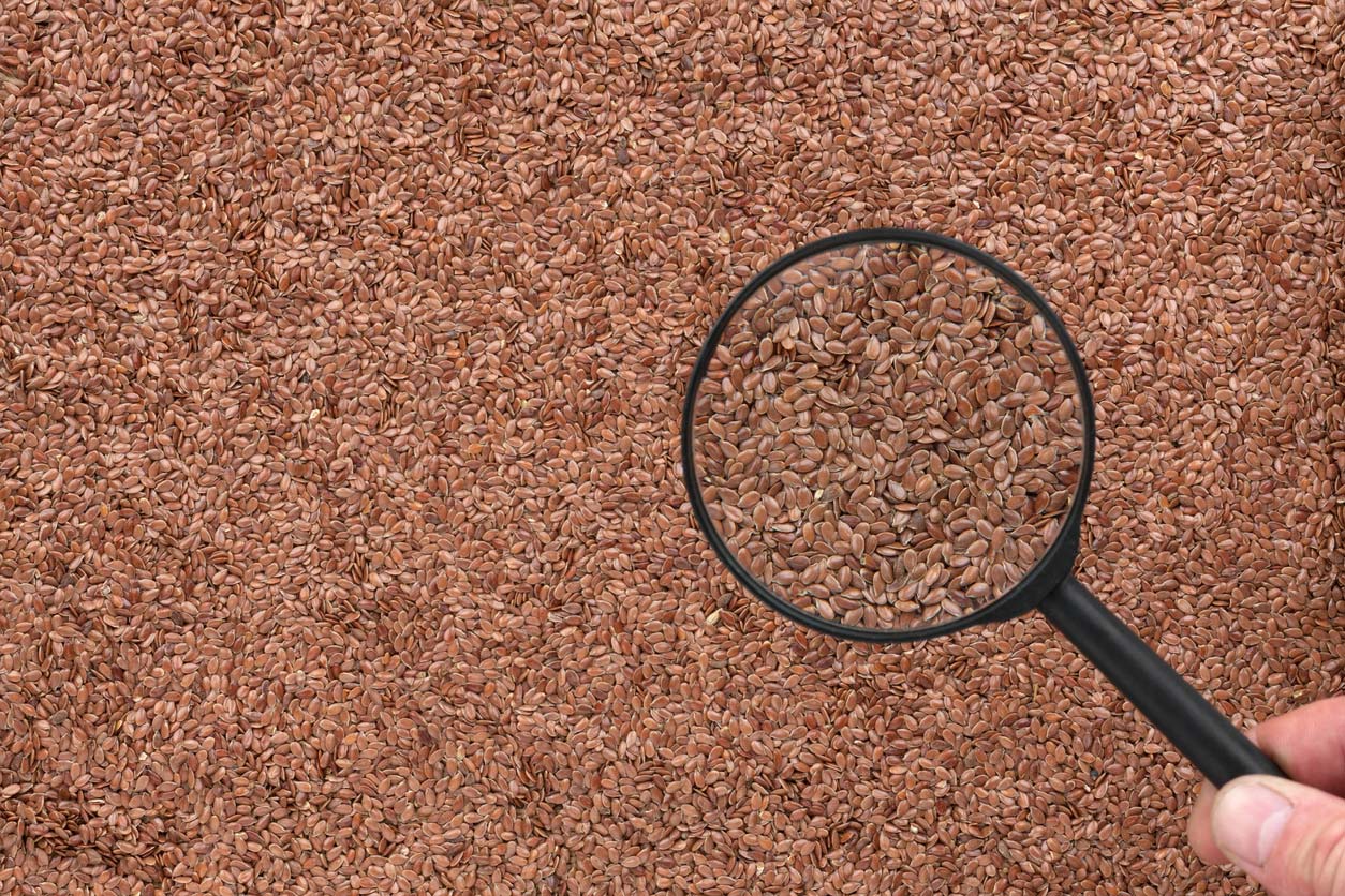 hand holding magnifying glass over surface covered in flaxseed