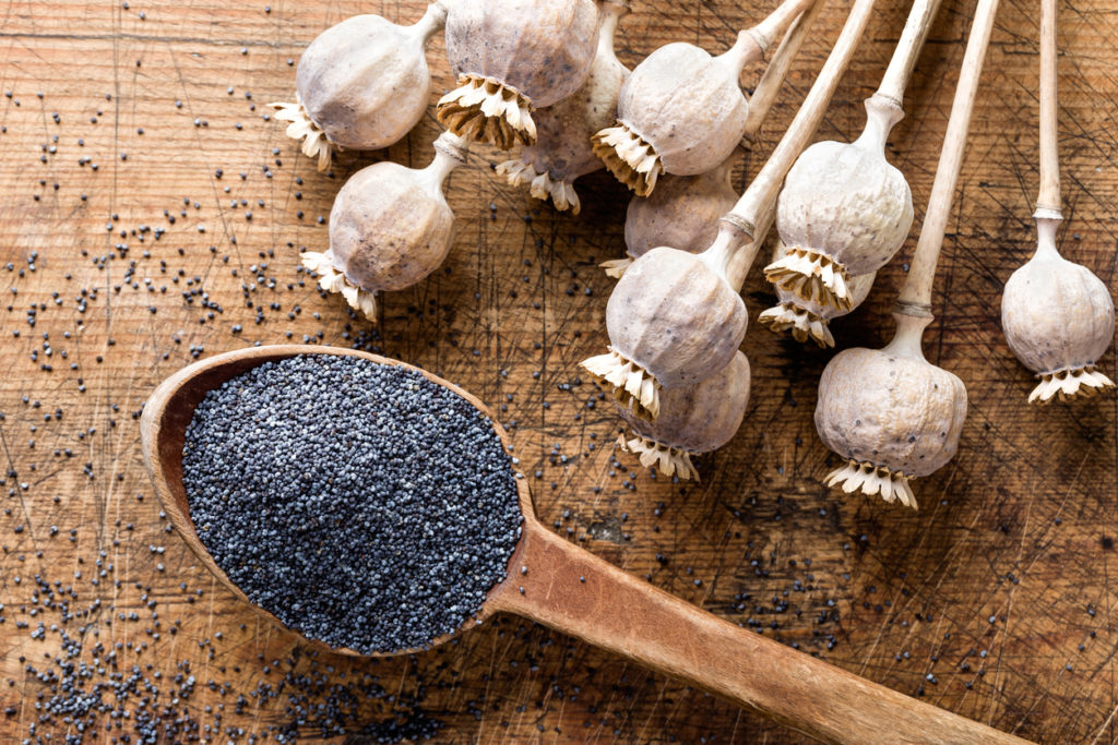 Poppy seeds and seeds pods