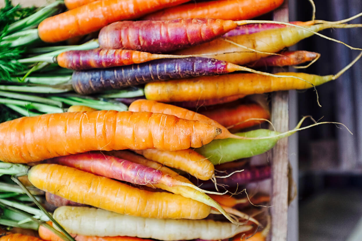 rainbow carrots fresh carrot varieties