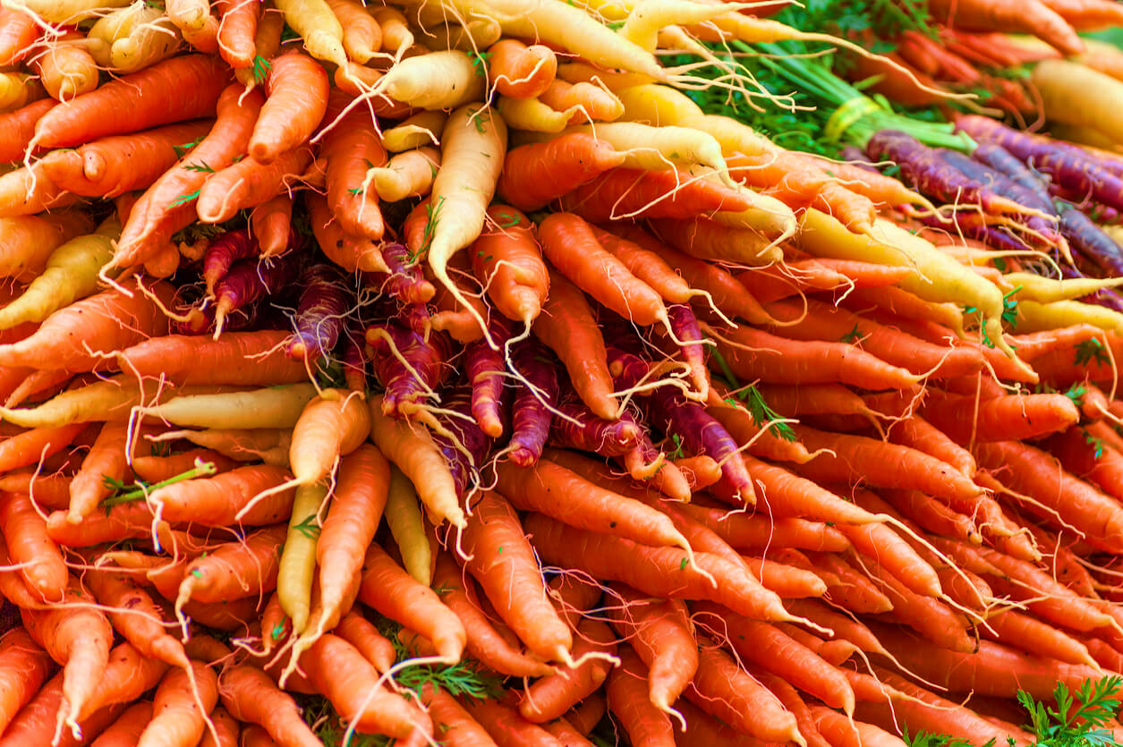 closeup of colorful bunches of carrots