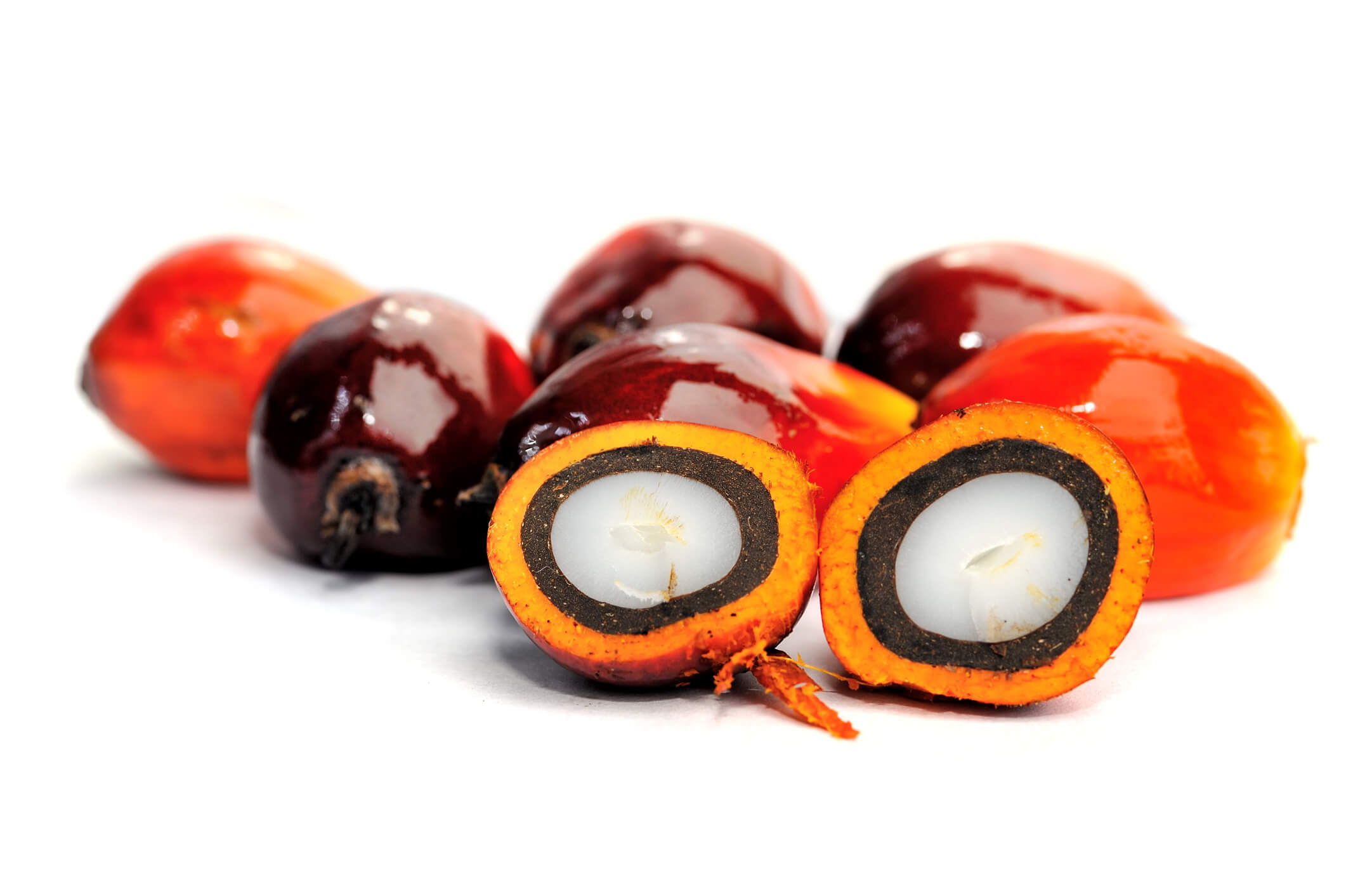 Palm oil fruits