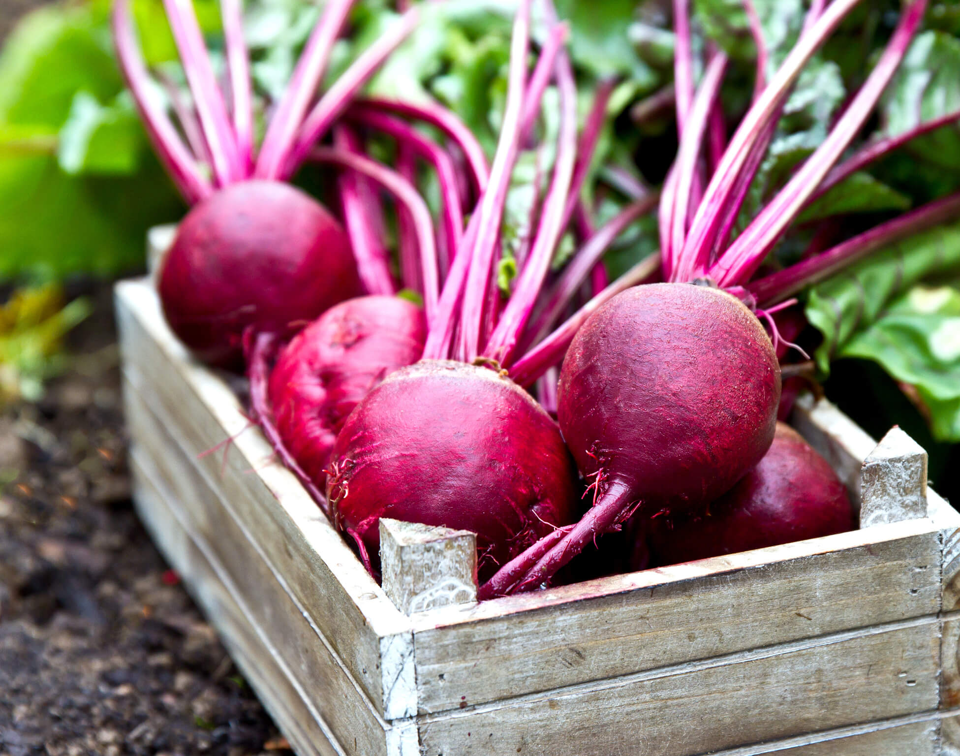 benefits of beets: 10 amazing reasons to eat more beets