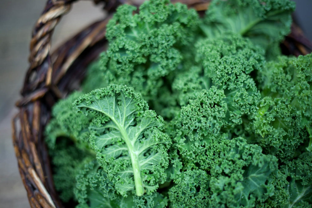 Kale leaves in a basket