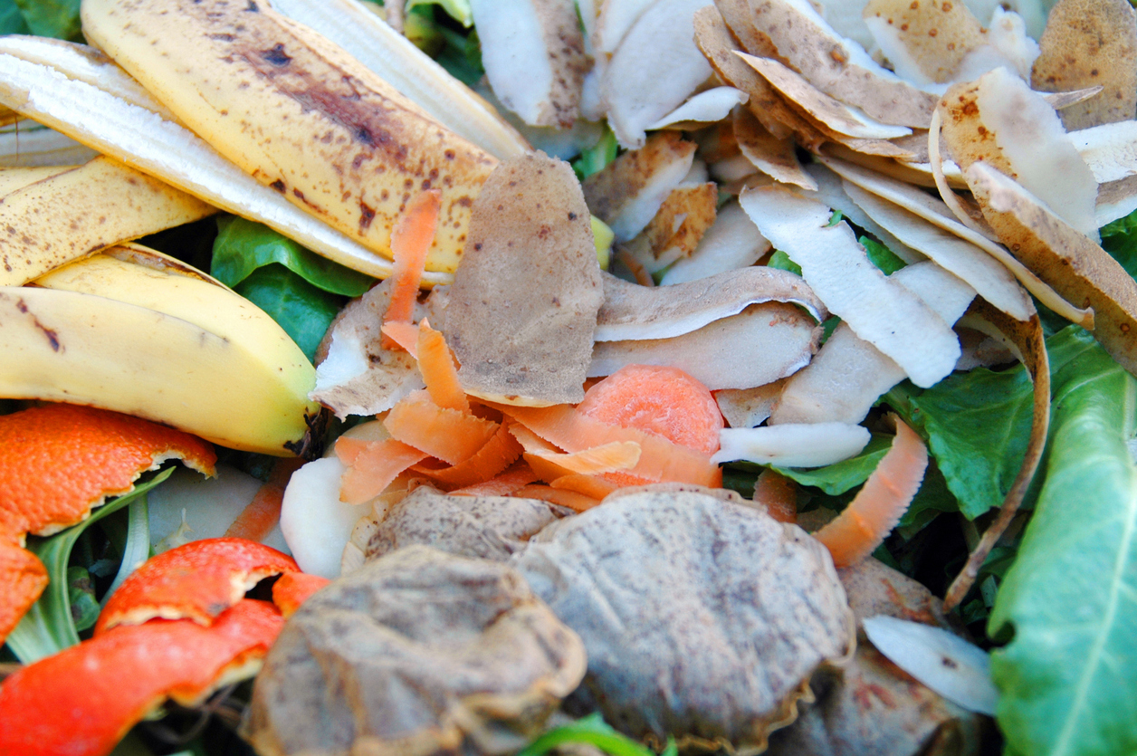 How to compost: Don't waste your waste, Fruits & Vegetables