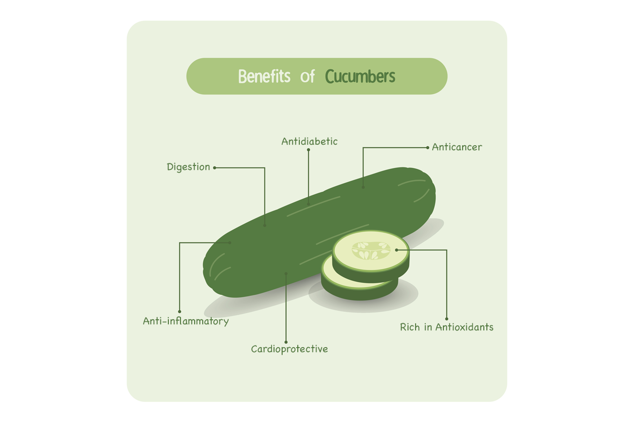 黃瓜的益處信息圖表，圖庫插圖