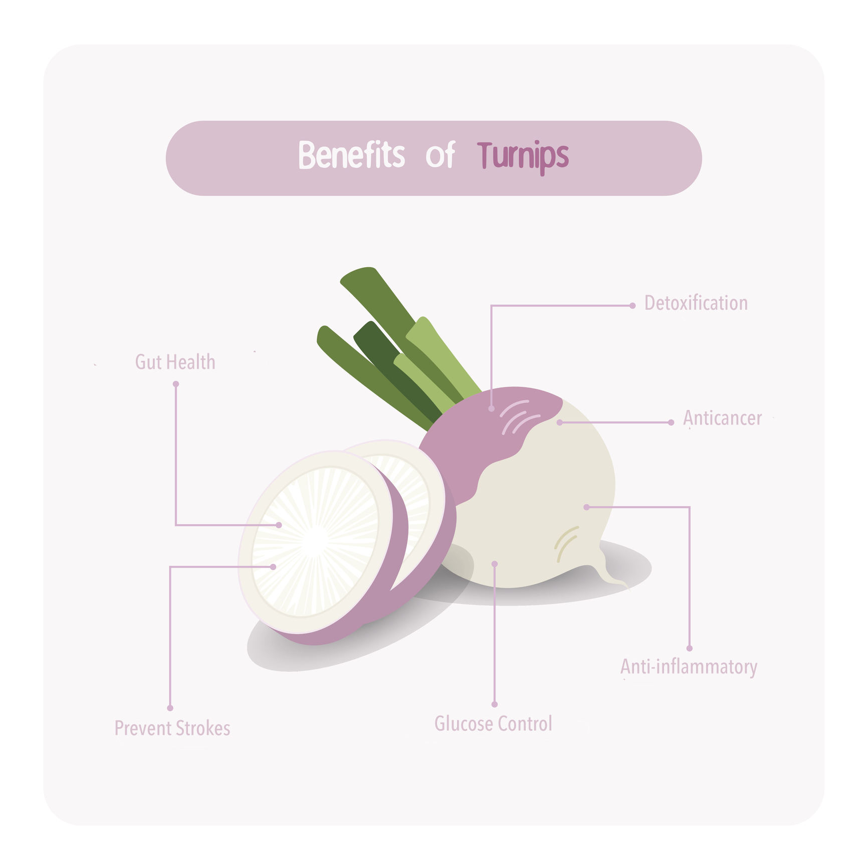 inforgraphic of pink turnip benefits