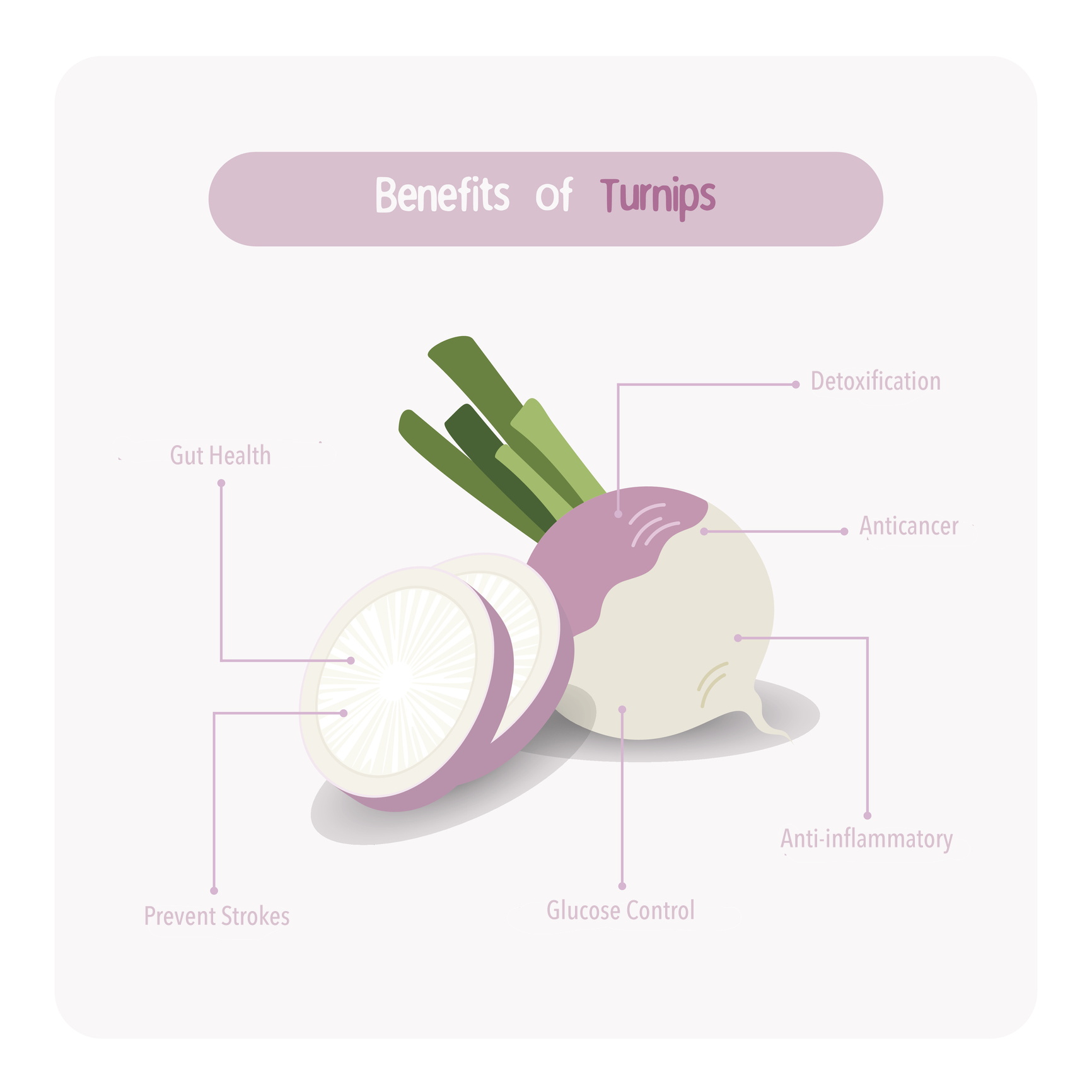 turnip nutrients