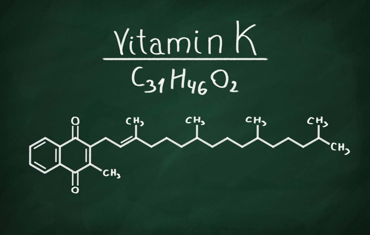 structural model of vitamin k