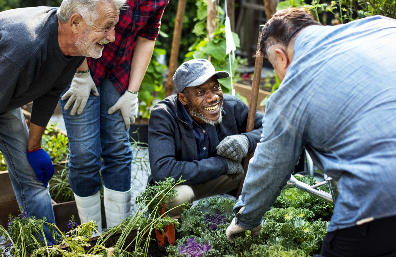  personas plantando verduras en invernadero