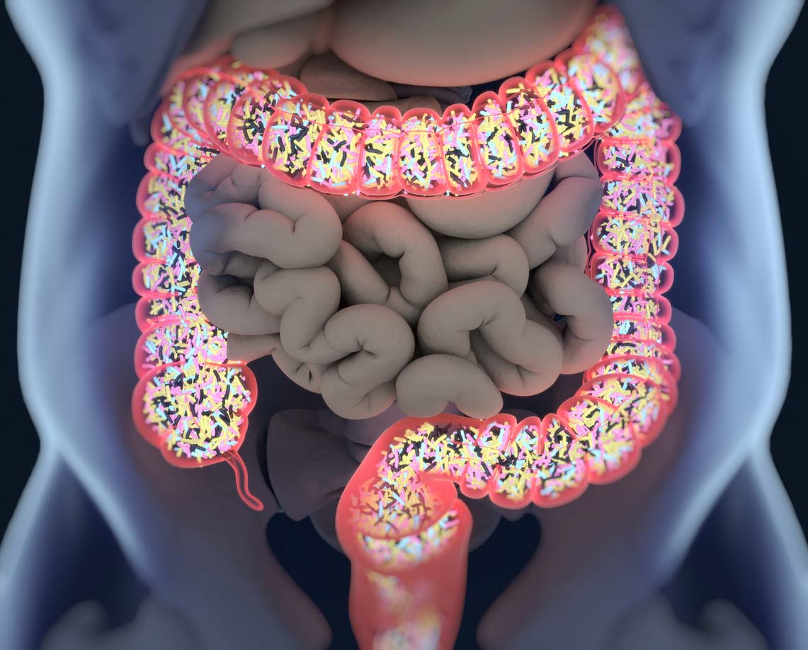 gut bacteria microbiome illustration