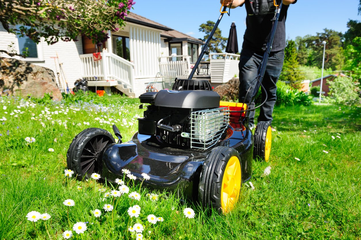 Man mowing the very green lawn