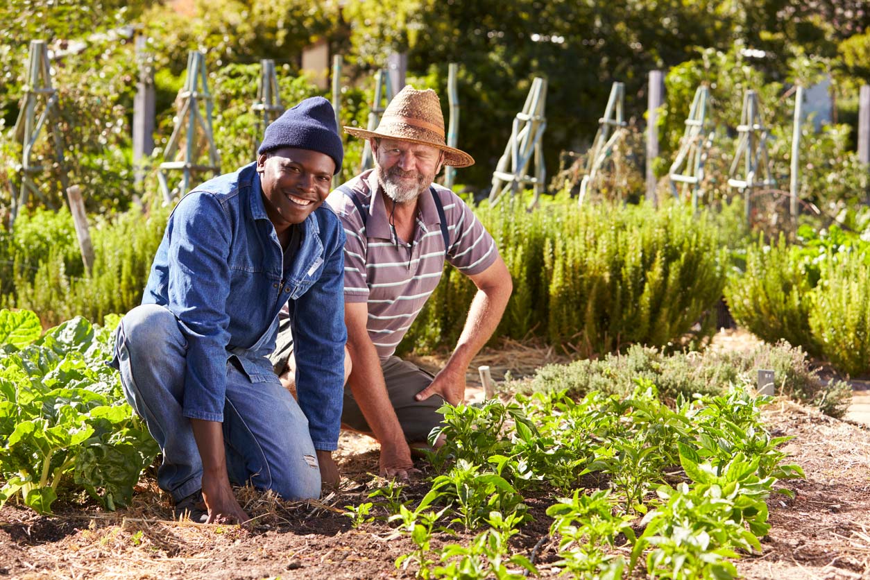 two men working together in community garden