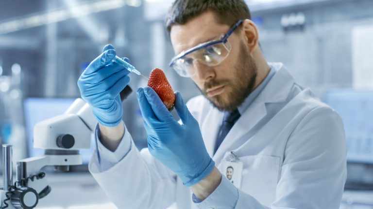 In a Modern Laboratory a Food Scientist Injects Strawberry with a Syringe.