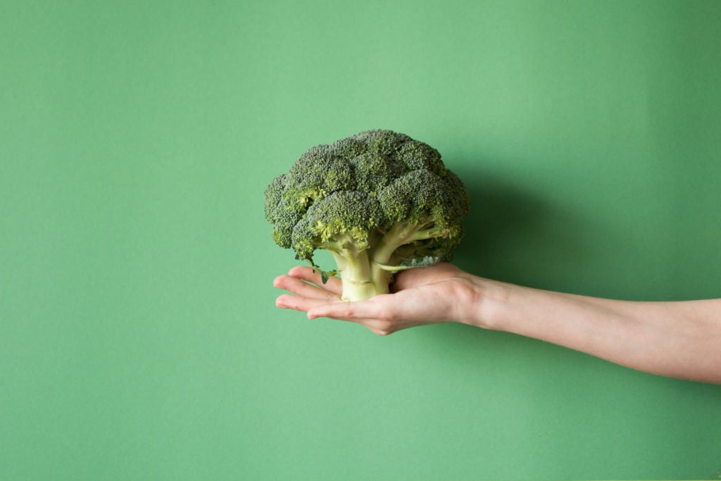 A hand holding a head of broccoli