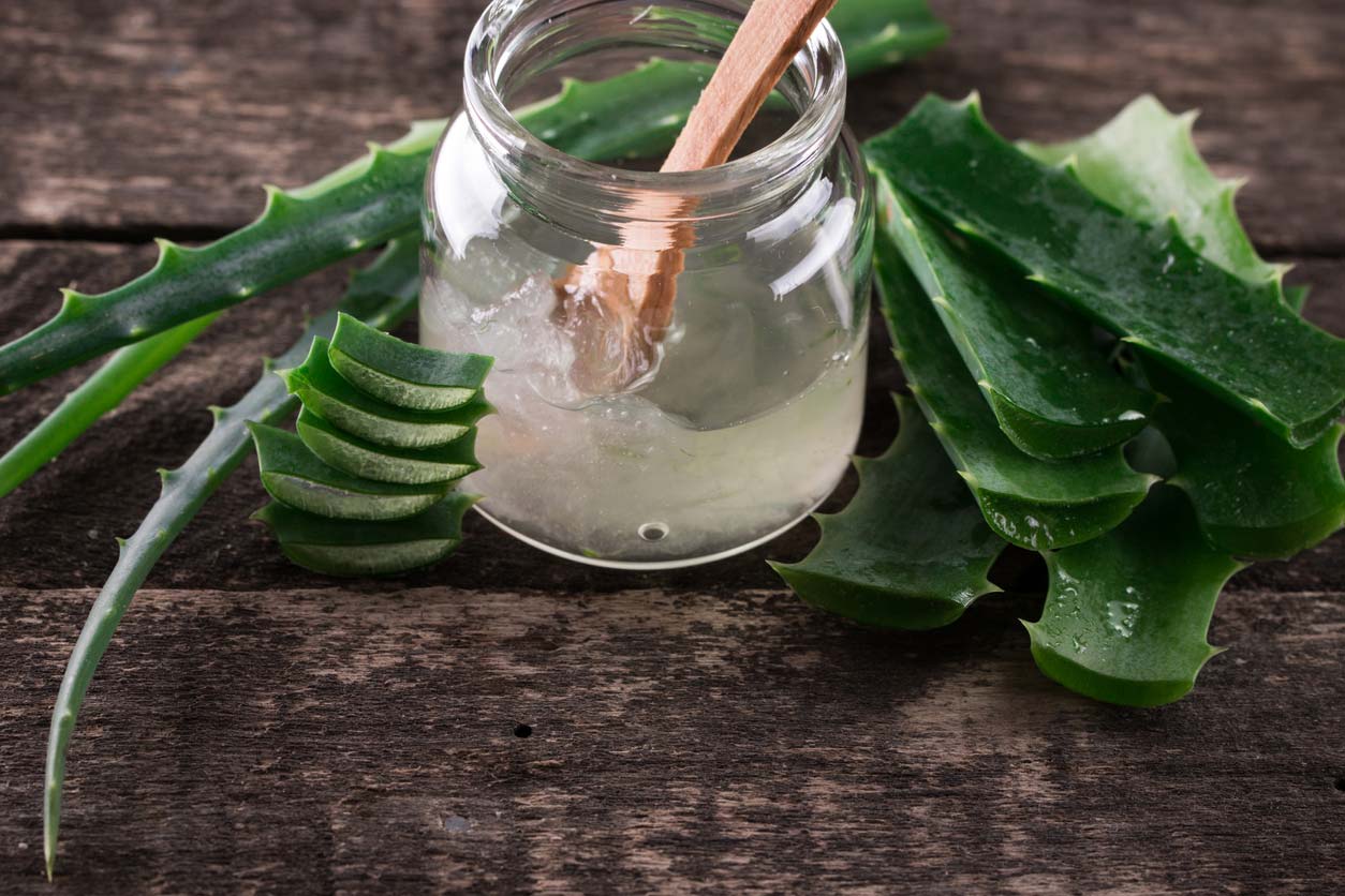 Aloe vera plant and gel in jar