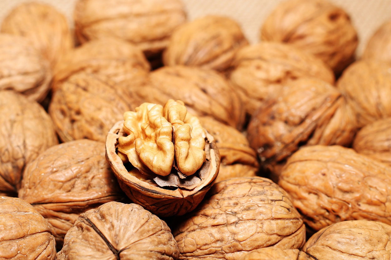 Walnuts against the background of cloth burlap