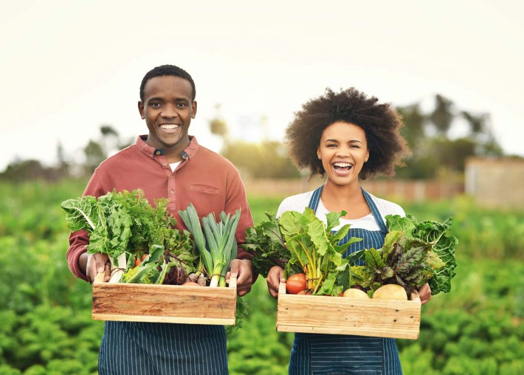 What is a CSA? Types, Pros and Cons, and How to Join a CSA