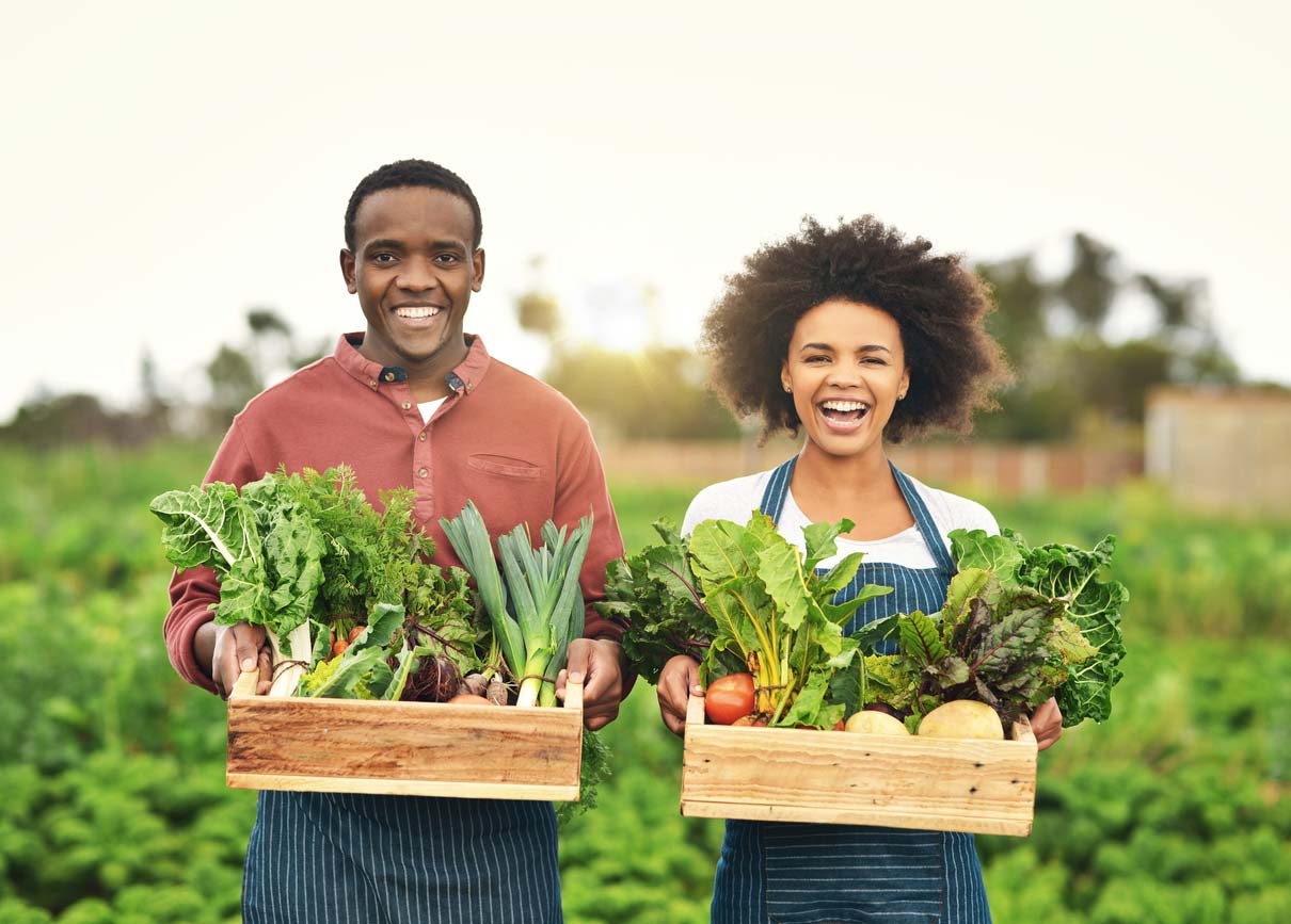 Man and woman holding crates of CSA vegetables