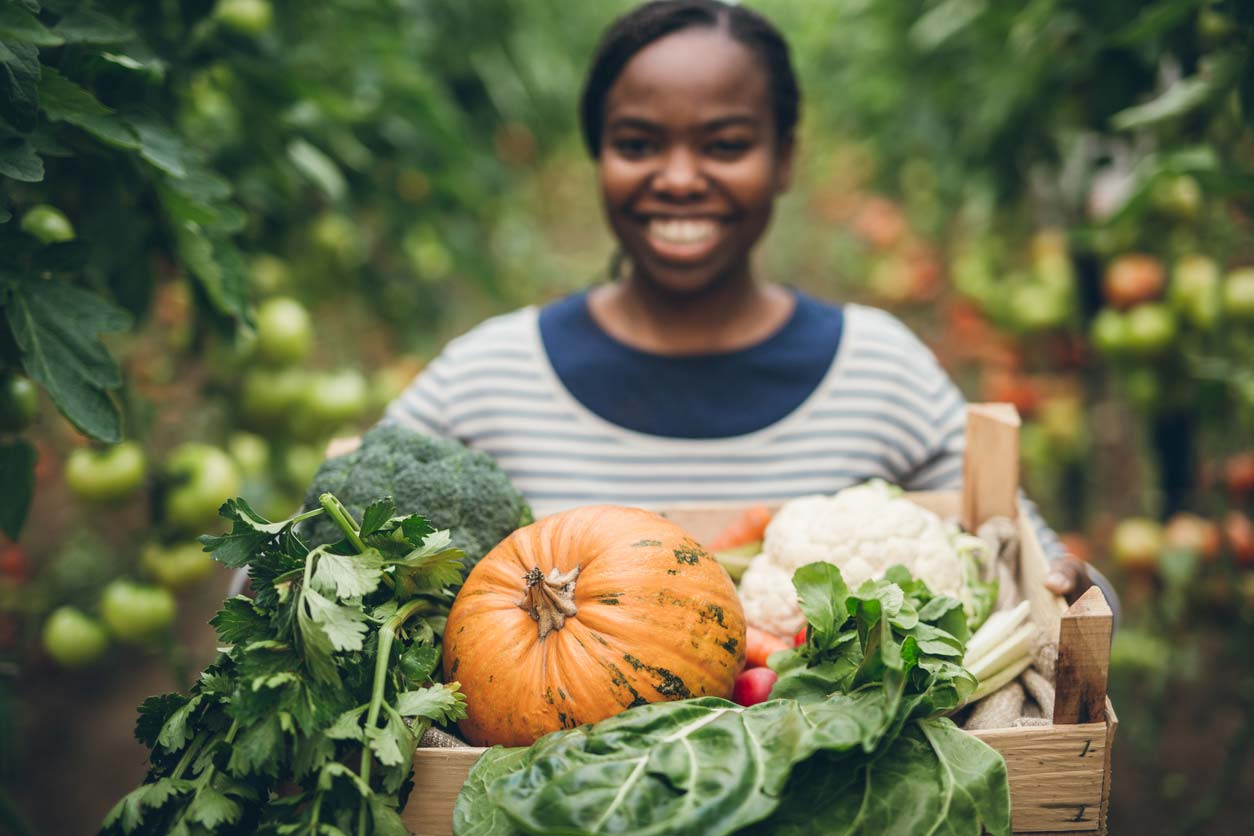 Farmer with packed CSA member box