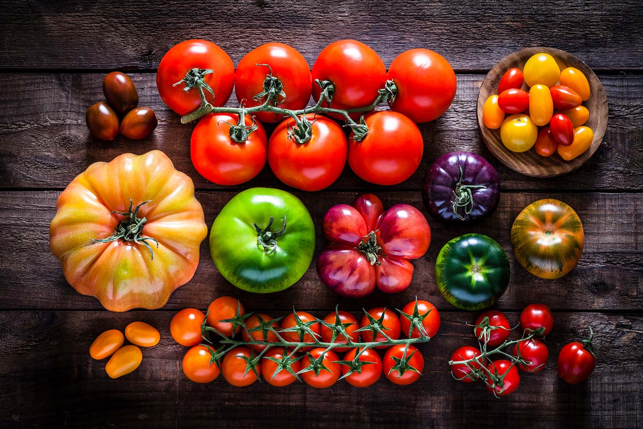 variety of tomatoes on table