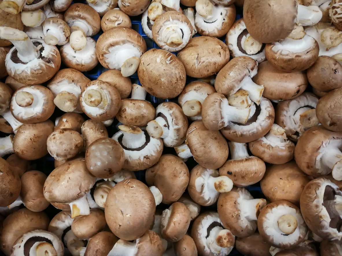 Fresh champignons on the market stall