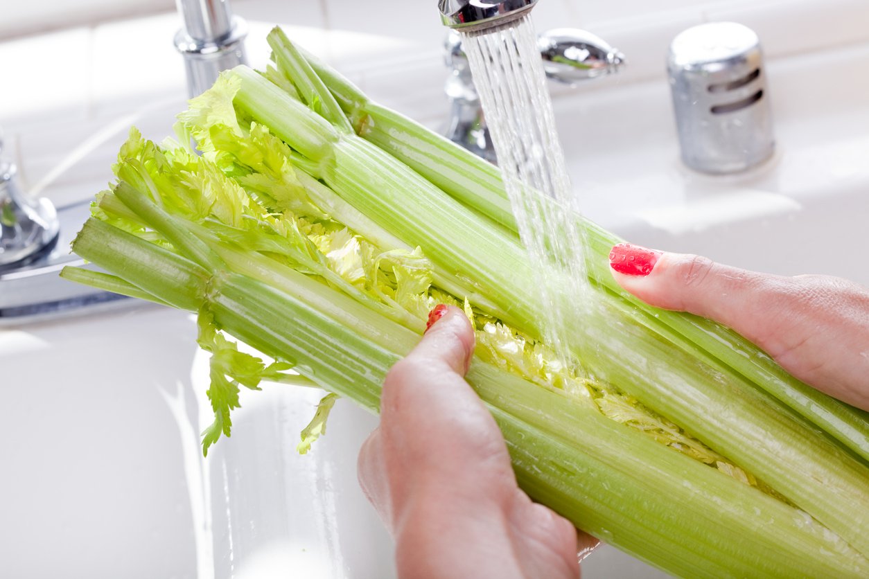 The benefits outlet of eating celery