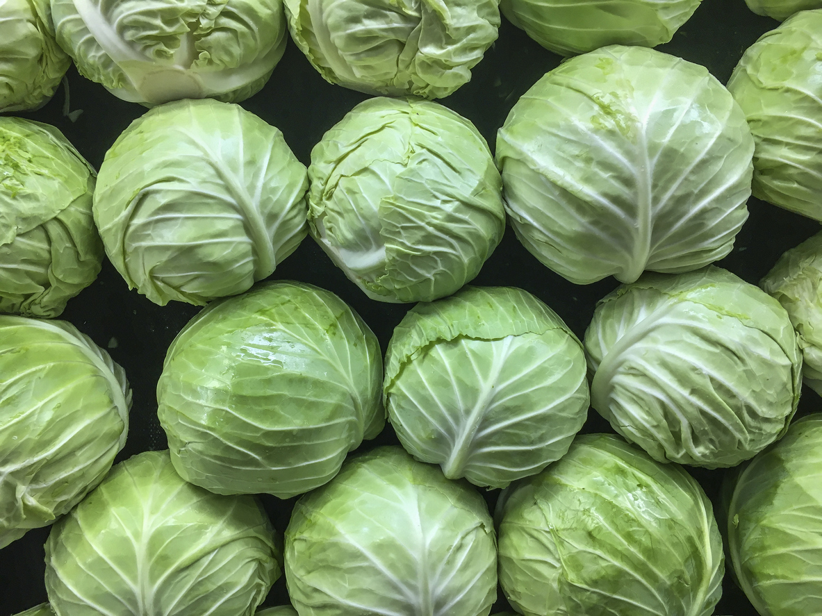 Cabbage heads