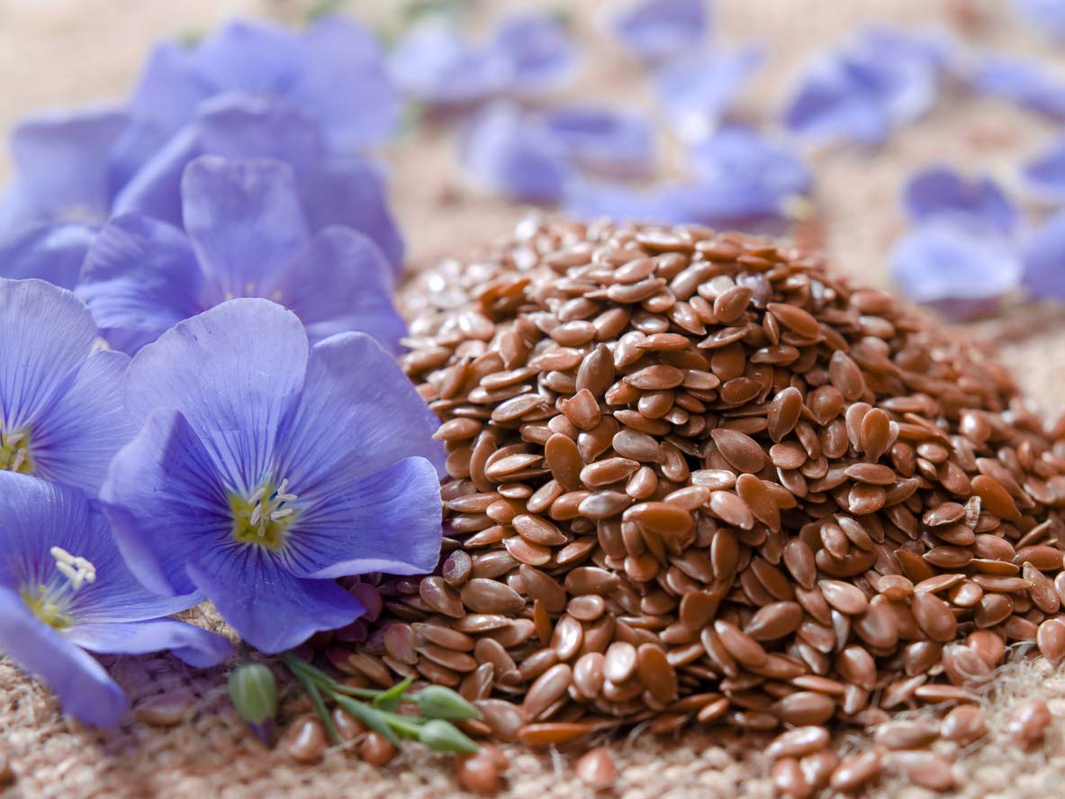 flaxseed in a pile with flax flowers