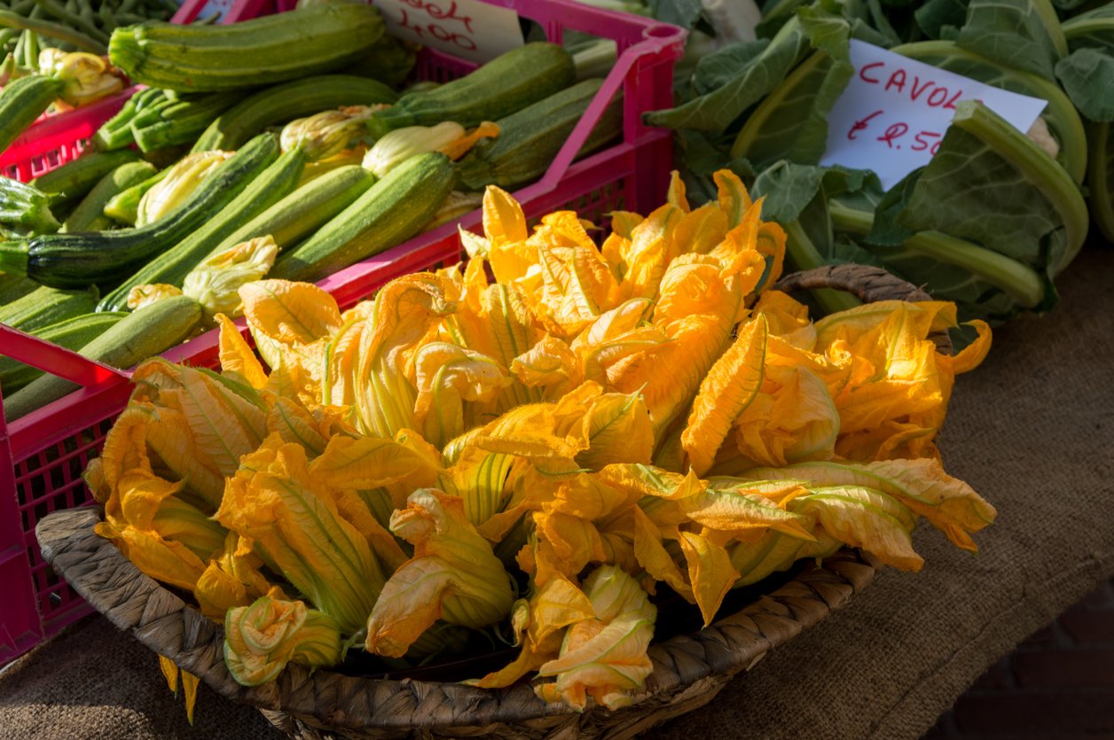 travel in tuscany springtime flower courgette