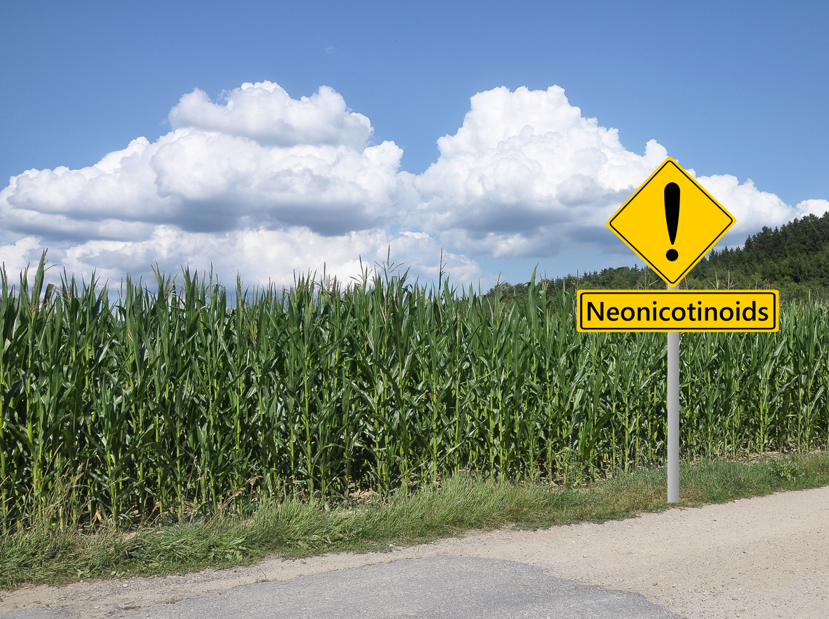 Warning sign neonicotinoids in front of maize field