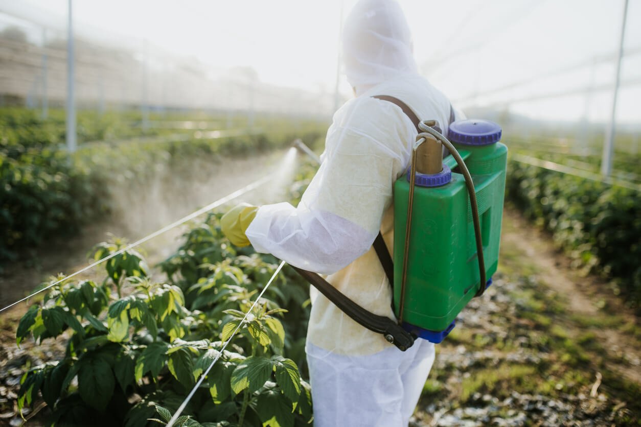 agricultural worker takes care of his estate