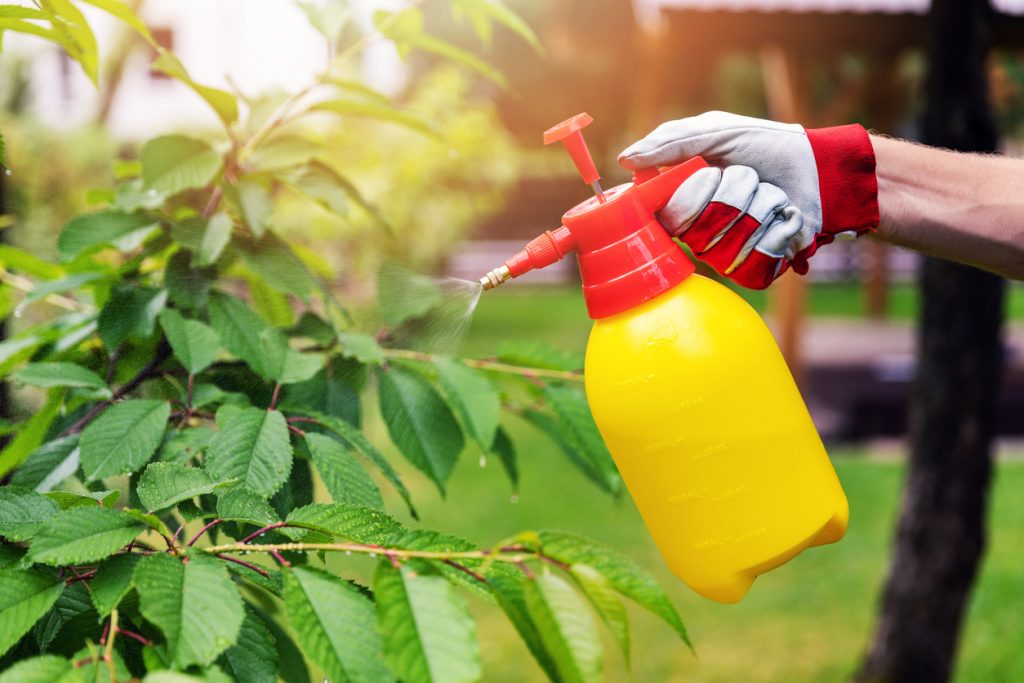 7 Ways Pesticides Impact Your Health & What To Do About It