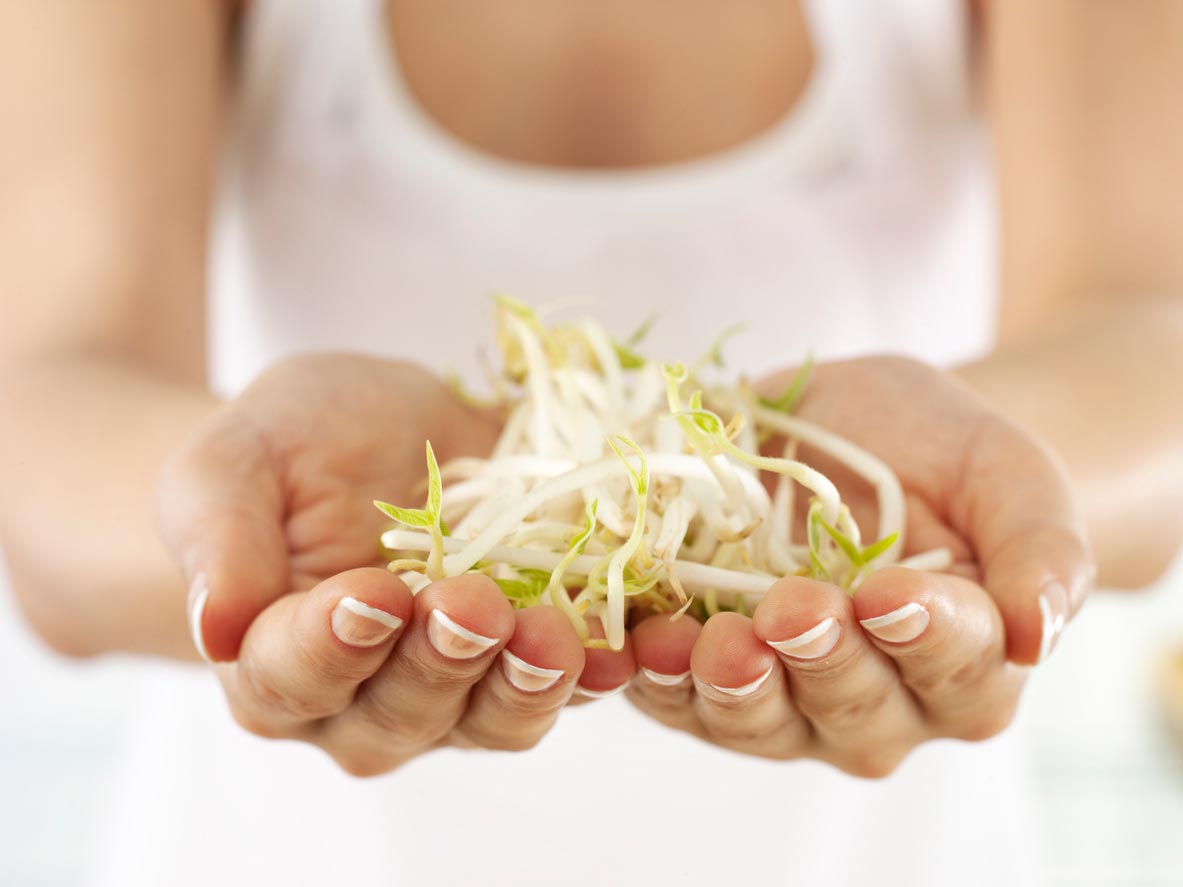 soy sprouts in hands