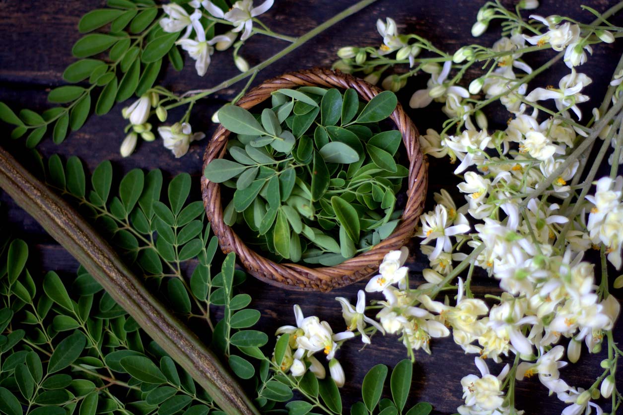 moringa leaves and flowers on table