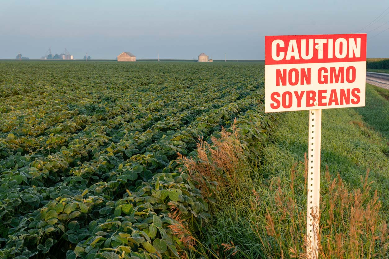 field with caution non gmo soybean sign