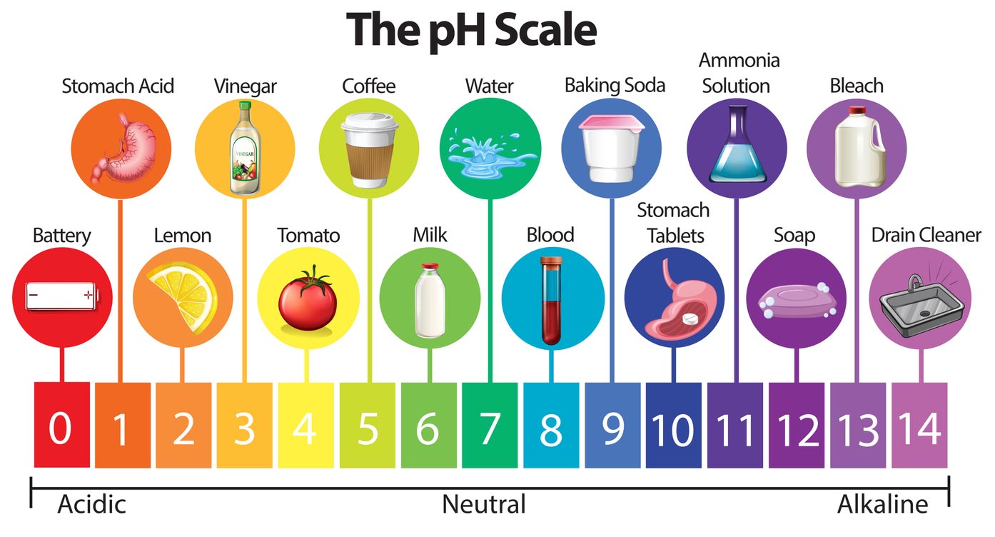 phScale of foods