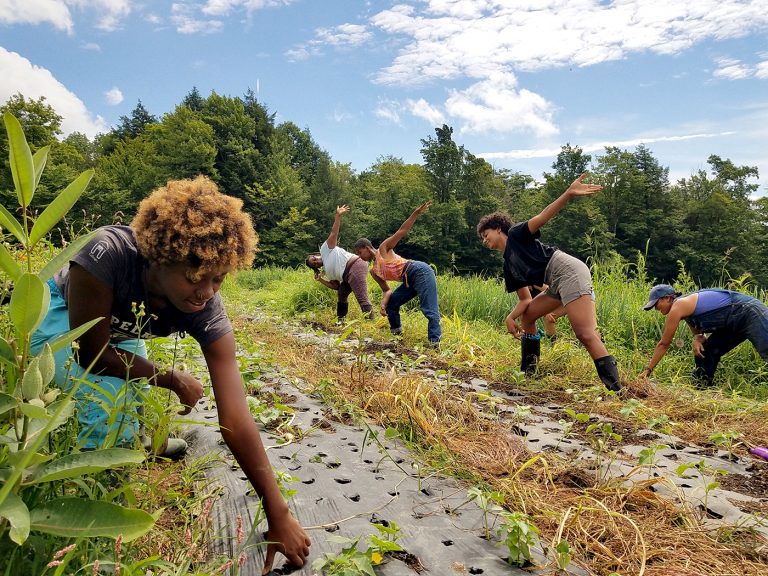 Soil: Here's How It Can Help Heal People & The Planet