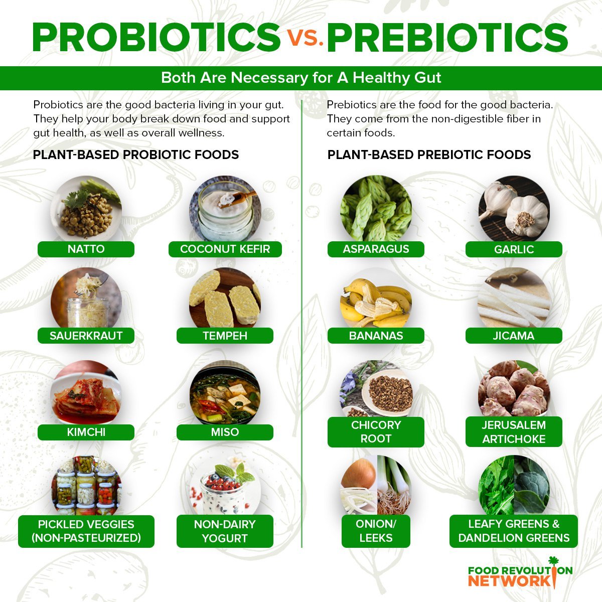 Probiotics and prebiotics infographic