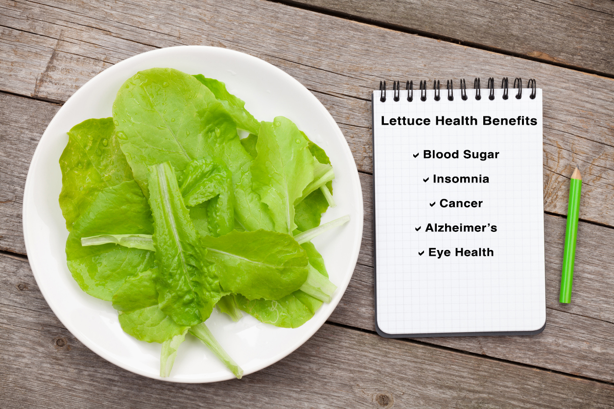 Lettuce health benefits listed on a notepad beside a bed of lettuce on a plate