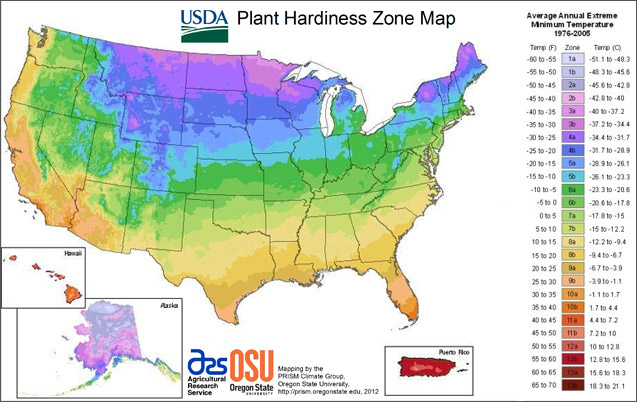 USDA plant hardiness zone map