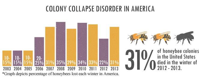 Colony Collapse Disorder in America