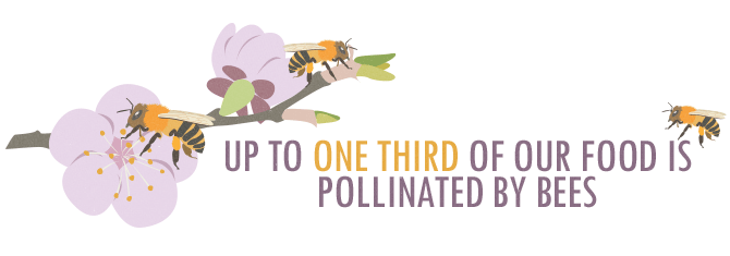 Up to One-Third of Our Food is Pollinated By Bees