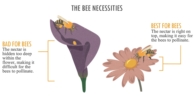 The Bee Necessities