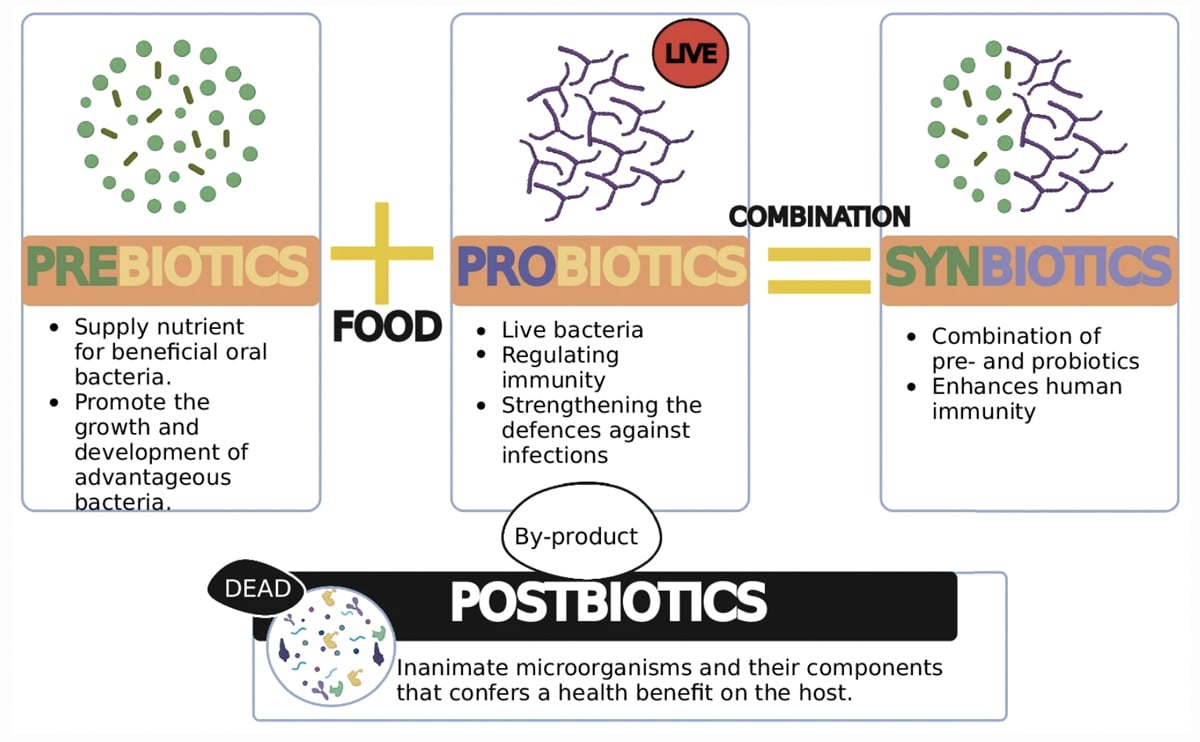 graphic covering prebiots, probiotics, synbiotics, and postbiotics